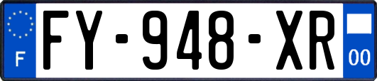 FY-948-XR