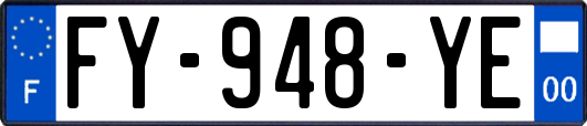 FY-948-YE