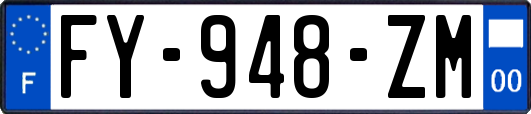 FY-948-ZM