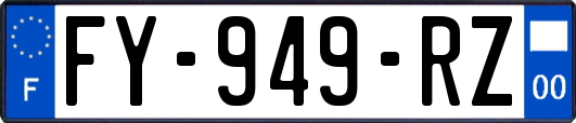 FY-949-RZ