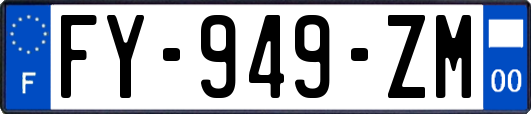 FY-949-ZM