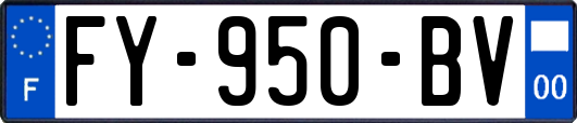 FY-950-BV