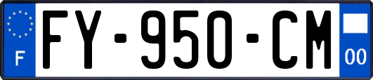 FY-950-CM