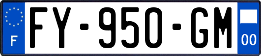 FY-950-GM