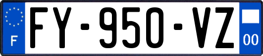 FY-950-VZ