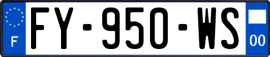 FY-950-WS