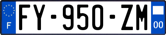 FY-950-ZM