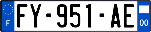 FY-951-AE