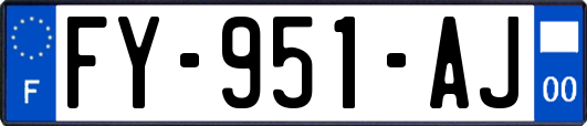 FY-951-AJ