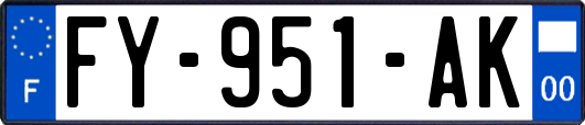 FY-951-AK