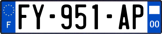 FY-951-AP