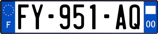 FY-951-AQ