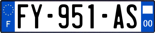 FY-951-AS
