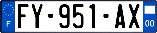 FY-951-AX
