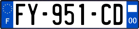 FY-951-CD