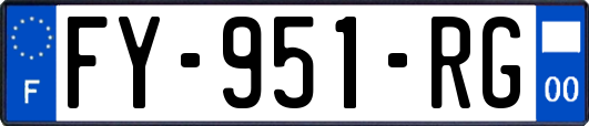 FY-951-RG