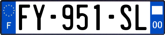 FY-951-SL