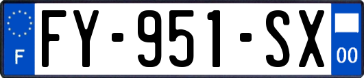 FY-951-SX