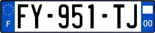 FY-951-TJ