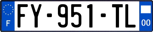 FY-951-TL