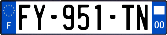 FY-951-TN