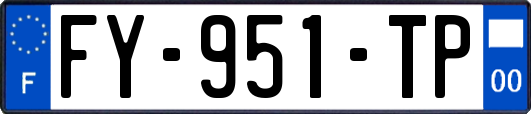 FY-951-TP