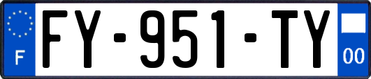 FY-951-TY