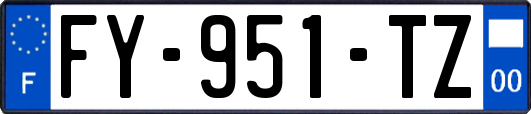 FY-951-TZ