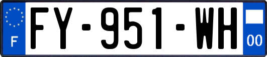FY-951-WH