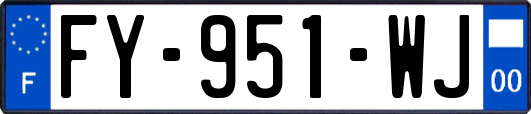 FY-951-WJ