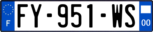 FY-951-WS