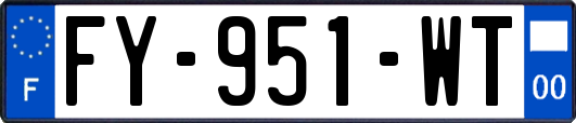 FY-951-WT