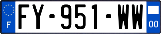 FY-951-WW