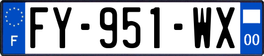 FY-951-WX