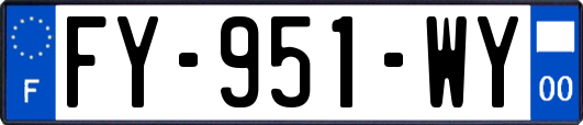 FY-951-WY