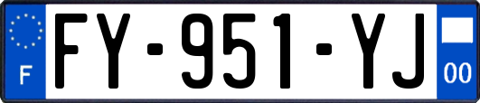 FY-951-YJ