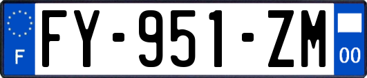 FY-951-ZM