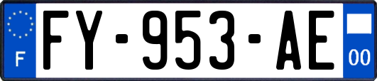 FY-953-AE