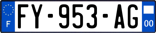FY-953-AG