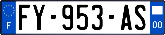 FY-953-AS