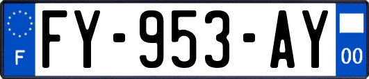 FY-953-AY