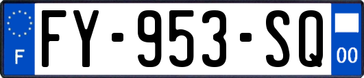 FY-953-SQ