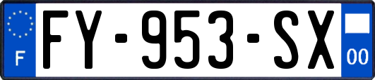 FY-953-SX