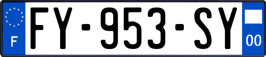 FY-953-SY