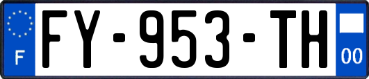 FY-953-TH
