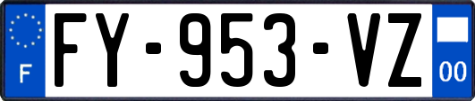 FY-953-VZ
