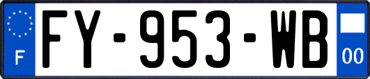 FY-953-WB