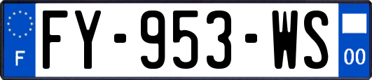 FY-953-WS