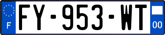 FY-953-WT