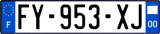 FY-953-XJ